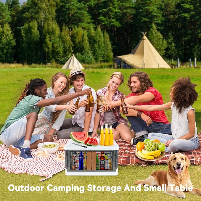 Storage Bin, Foldable Cabinet, 8.4 Gallon (32L) Capacity (Each One), 2 Packs, Collapsible Box with Lids, Transparent, Organizers for Living Room, Bedroom