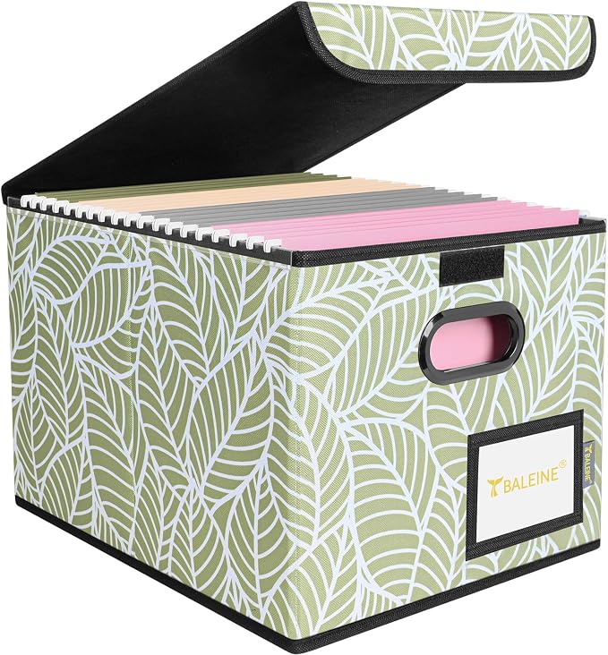 BALEINE File Organizer Box with Lid, Collapsible File Folder Organizer with Plastic Slide, Hanging File Folder Box for Office Document Storage (1 Pack, Antique Foliage)