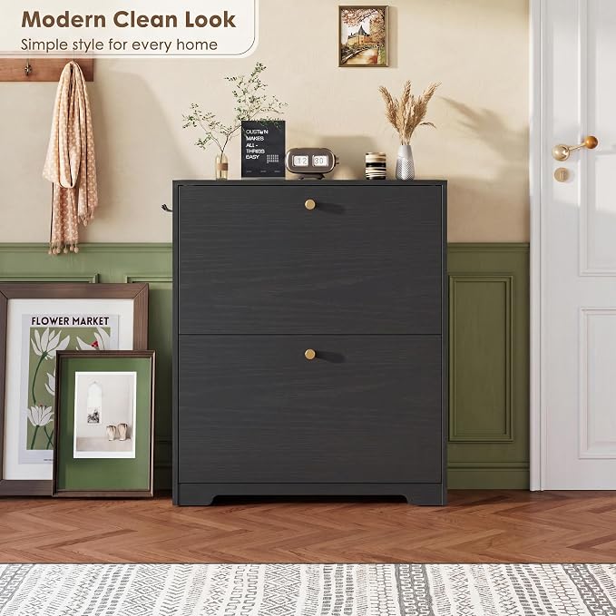 Nicetree Shoe Cabinet with 2 Flip Drawers, Narrow Shoe Organizer Cabinet, Freestanding Shoe Rack Cabinet, Modern Shoe Storage Cabinet for Entryway, Hallway, Foyer, Black