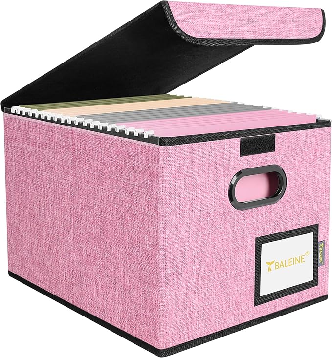 BALEINE File Organizer Box with Lid, Collapsible File Folder Organizer with Plastic Slide, Hanging File Folder Box for Office Document Storage (1 Pack, Pink)