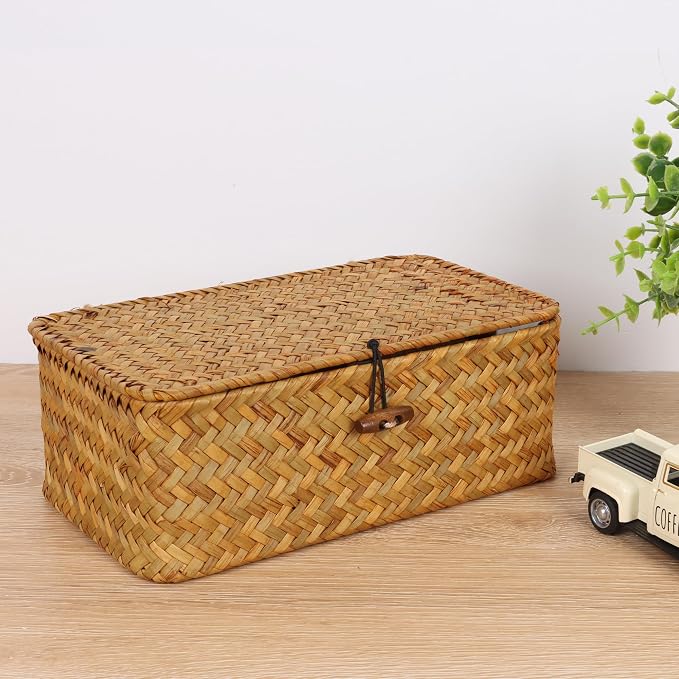 FEIALNDUO Wicker Shelf Baskets with Lid,Seagrass Storage Basket Bins Rectangular Handwoven Basket Boxes for Shelves Desktop Home Organizer (Natural, X-Small)