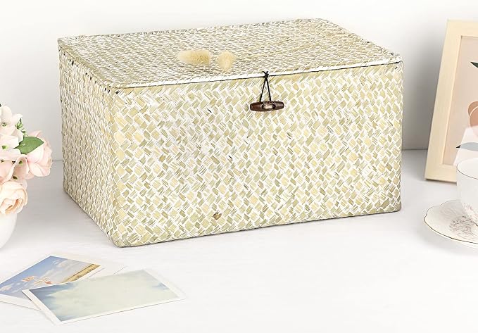 Hipiwe Wicker Shelf Baskets Bin with Lid, Large Seagrass Basket Storage Box | Handwoven Natural Baskets for Shelf Organizer, Rectangular Household Basket Boxes for Home Decor, Whitewash
