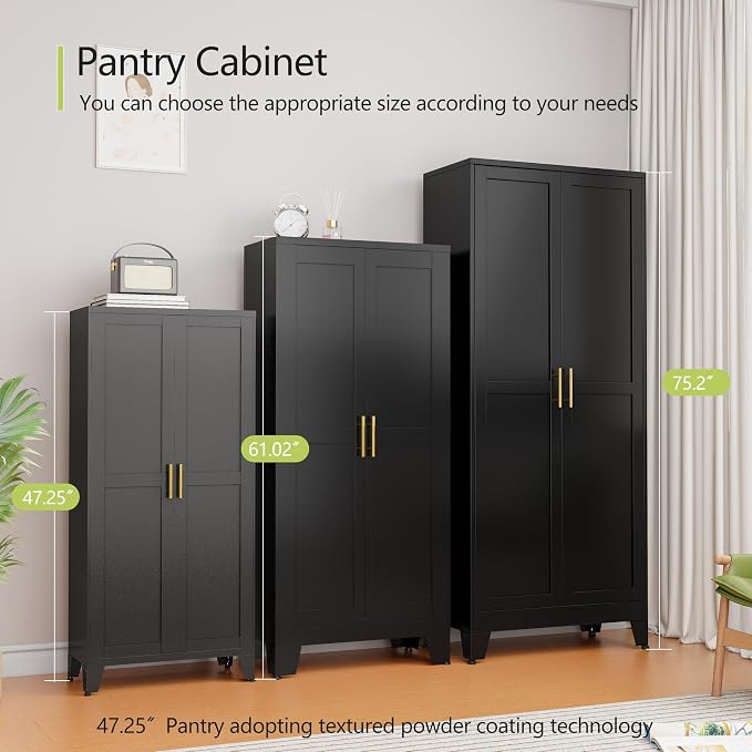 GAIOUS Metal Storage Cabinet With 2 Doors and 3 Adjustable Shelves, Black Kitchen Pantry for Food, Utility Cabinet for Laundry Room, Cupboard