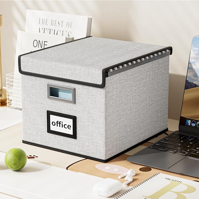 File Organizer Box with Lids, Collapsible File Folder Organizer | File Box with Plastic Slides for Office Document Storage, Filing Bin for Letter Size Hanging File Folders (1 Pack, White)