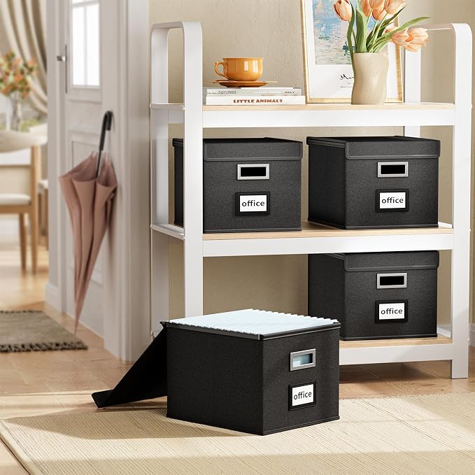 File Organizer Box with Lids, Collapsible File Folder Organizer | File Box with Plastic Slides for Office Document Storage, Filing Bin for Letter Size Hanging File Folders (4 Pack, Black)