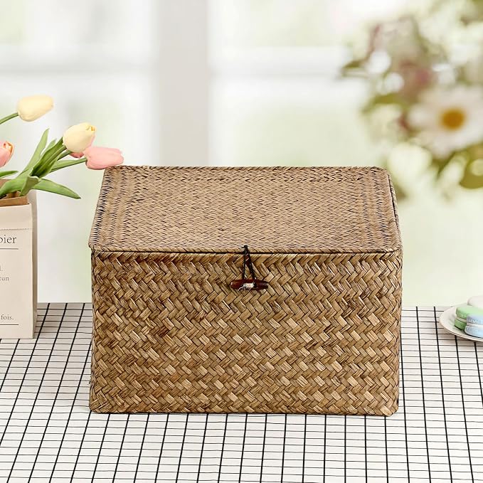 Hipiwe Handwoven Basket Container Seagrass Storage Box Wicker Bin for Fruits Snacks Clothes Books Towels Home Organizer with Lid, Coffee, XX-Large