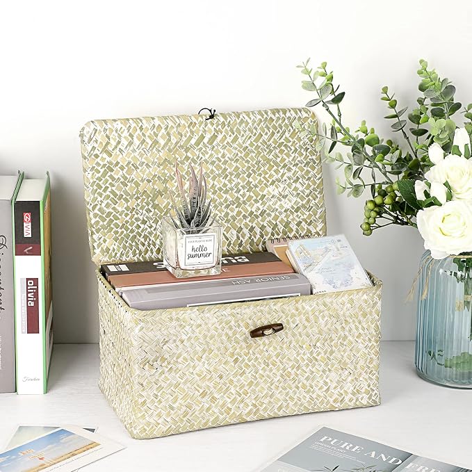 Hipiwe Wicker Shelf Baskets Bin with Lid, Large Seagrass Basket Storage Box | Handwoven Natural Baskets for Shelf Organizer, Rectangular Household Basket Boxes for Home Decor, Whitewash