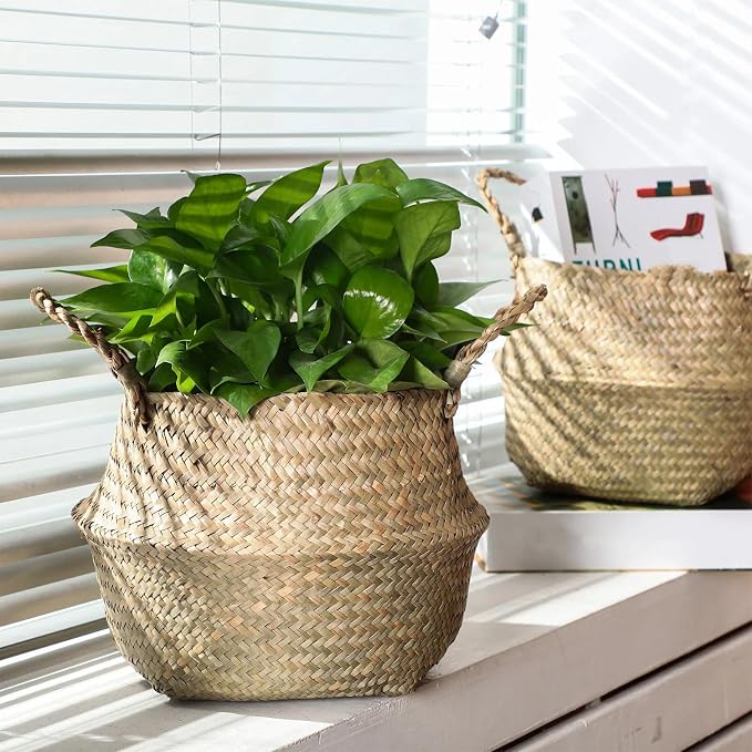 Qunclay 4 Pcs Woven Seagrass Baskets Belly Basket Folding Boho Natural Plant Pot with Handles Round Decorative Wicker Large Indoor Planter for Home Outdoor Tree Planters Decor (M,8.46''dx8.66''h)
