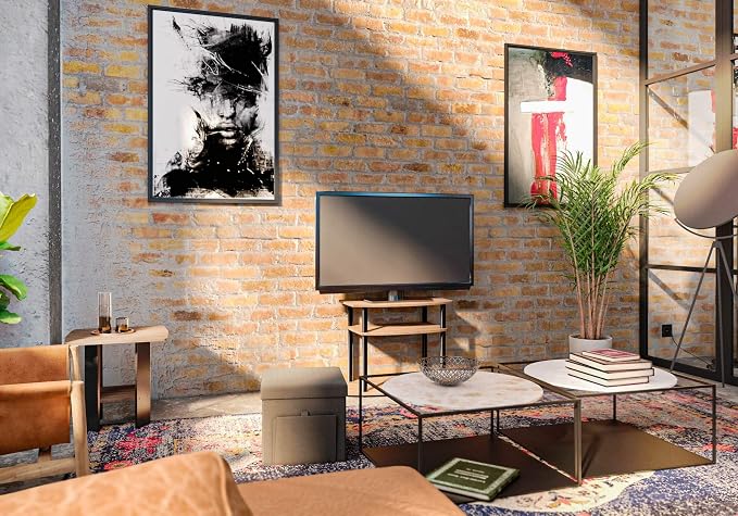 Furinno BASIC Book Shelf, 6-Cube Bookshelf with Open Shelf, 3 x 2 Bookcase with Storage Bins, Closed Back, Horizontal, 11.9 x 31.6 x 23.6, for Living Room, Bedroom, Home Office, Dark Walnut