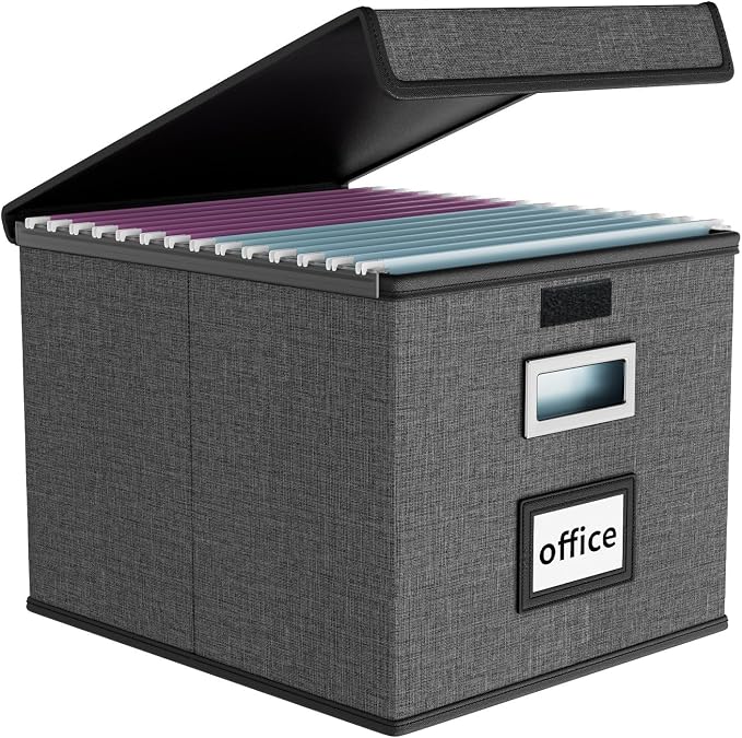 File Organizer Box with Lids, Collapsible File Folder Organizer | File Box with Plastic Slides for Document, Filing Bin for Letter Size Hanging File Folders (1 Pack, Dark Gray)