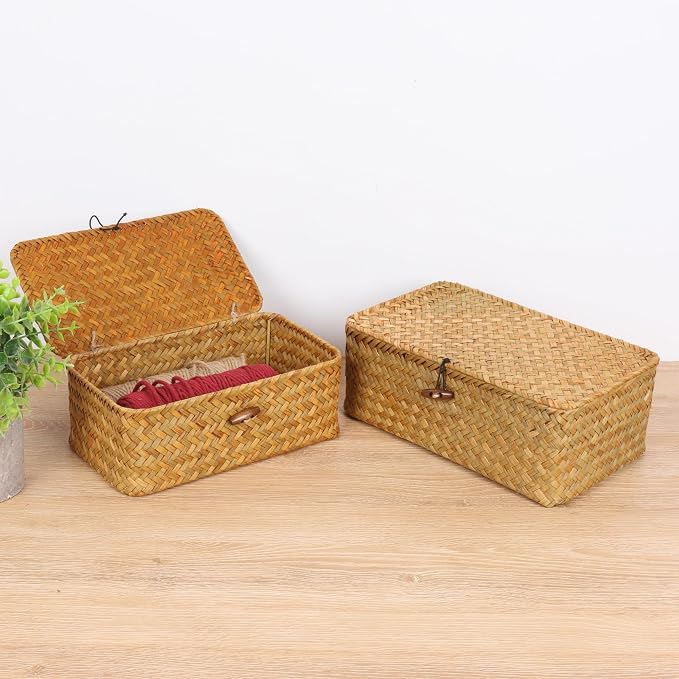 FEIALNDUO Wicker Shelf Baskets with Lid,Seagrass Storage Basket Bins Rectangular Handwoven Basket Boxes for Shelves Desktop Home Organizer (Natural, Small)