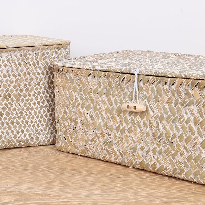 FEIALNDUO Wicker Shelf Baskets with Lid,Seagrass Storage Basket Bins Rectangular Handwoven Basket Boxes for Shelves Desktop Home Organizer (Whitewash, X-Small)
