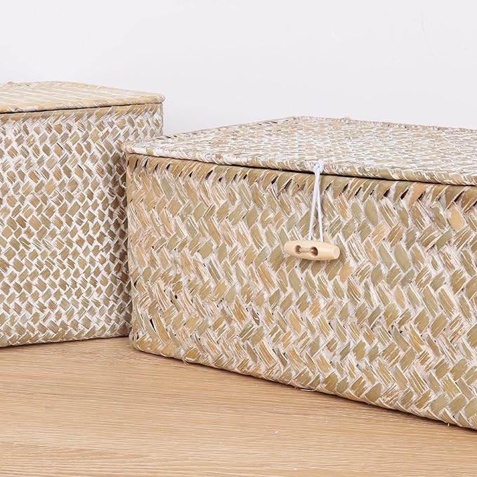 FEIALNDUO Wicker Shelf Baskets with Lid,Seagrass Storage Basket Bins Rectangular Handwoven Basket Boxes for Shelves Desktop Home Organizer (Whitewash, Large)