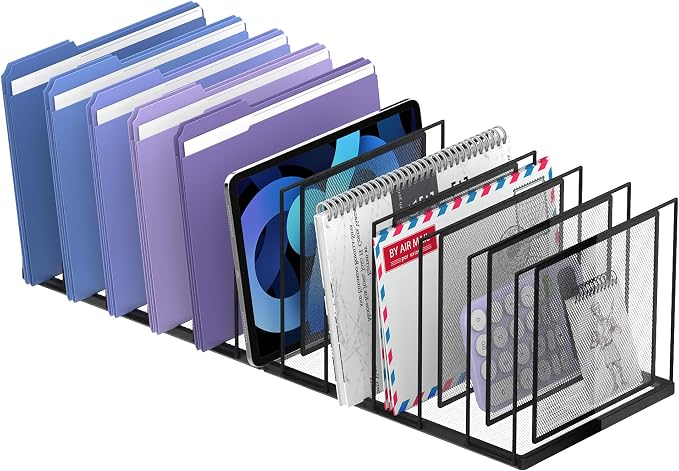 File Organizer for Desk, 11-Section Vertical File Sorter, Paper Holder Organizer Standing Metal File Folder for Office Home Classroom, Black