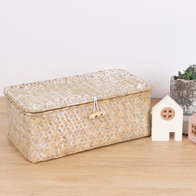 FEIALNDUO Wicker Shelf Baskets with Lid,Seagrass Storage Basket Bins Rectangular Handwoven Basket Boxes for Shelves Desktop Home Organizer (Whitewash, X-Small)
