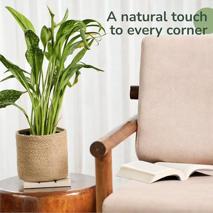 Jute Small Plant Pots- Woven Jute Set of 2, 6.5 inches- Brown | Jute Planter Basket-Woven Rope Covers for Decorating Indoor/Outdoor Succulents Multi-Purpose Storage Bins Modern Style Decor