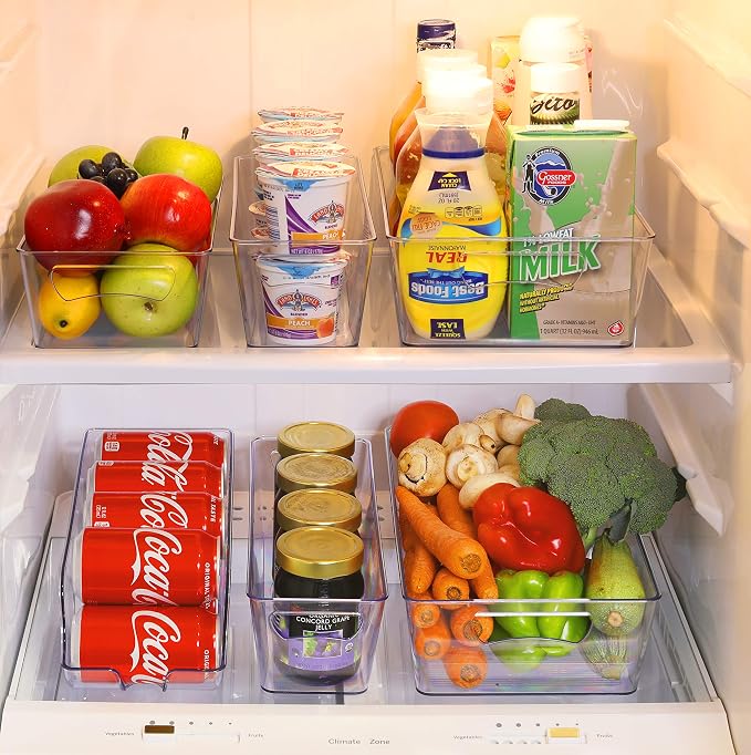 Simple Houseware Refrigerator Storage Organizer Bins, Assorted Set of 6