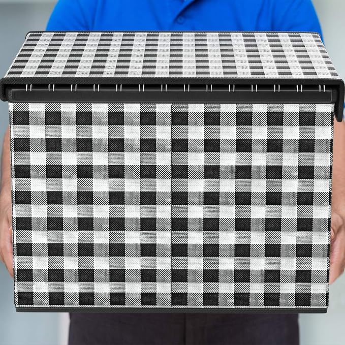 File Organizer Box with Lids, Collapsible File Folder Organizer | File Box with Plastic Slides for Document, Filing Bin for Letter Size Hanging File Folders (2 Pack, Black & White Lattice)