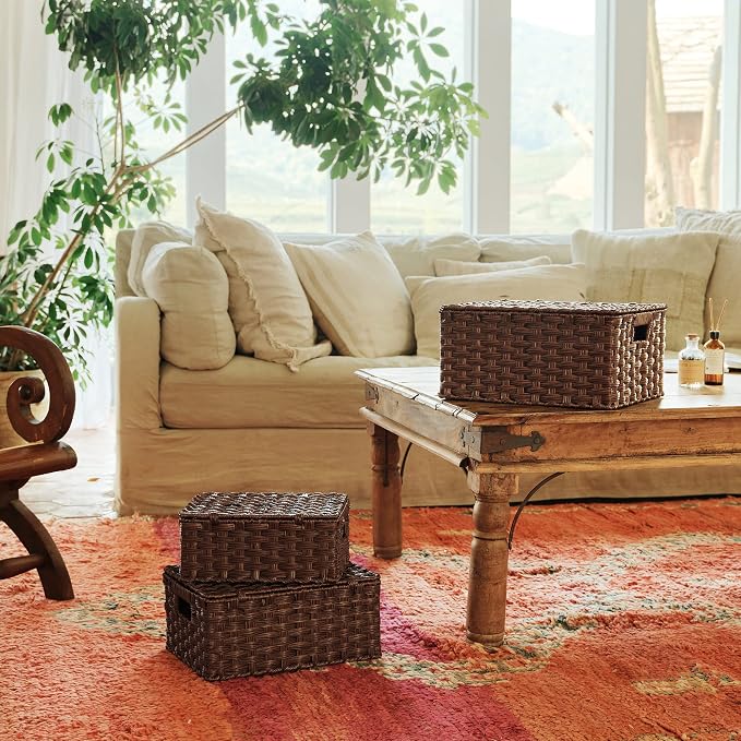 Granny Says Wicker Baskets with Lids, Decorative Storage Boxes With Lids | Woven Baskets With Lids, Wicker Baskets For Storage, Decorative Storage Boxes, Woven Stackable Basket with Lid for Organizing